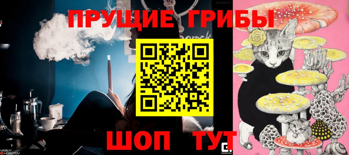 Псилоцибиновые грибы мицелий Благодарный